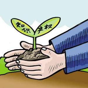 知識產(chǎn)權,保護